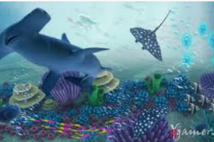 Bsports网页版2024最新版